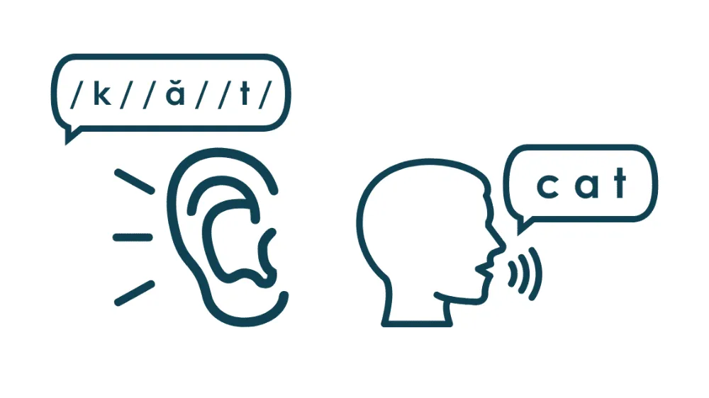 Illustration of an ear listening to three individual sounds next to a mouth saying the word 'cat'.