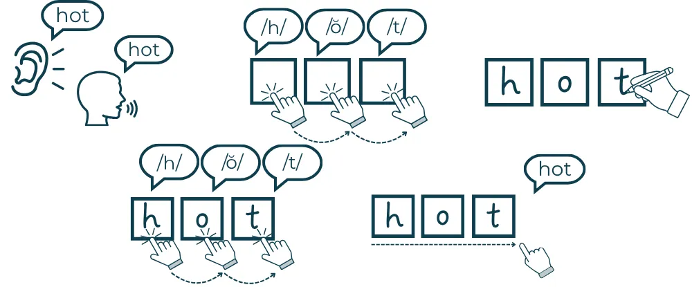 Diagram shows steps for learning the word 'hot': hear the word, segment the sounds while pointing to individual sound boxes, and then write a grapheme for each phoneme, before blending the sounds to confirm its accuracy.
