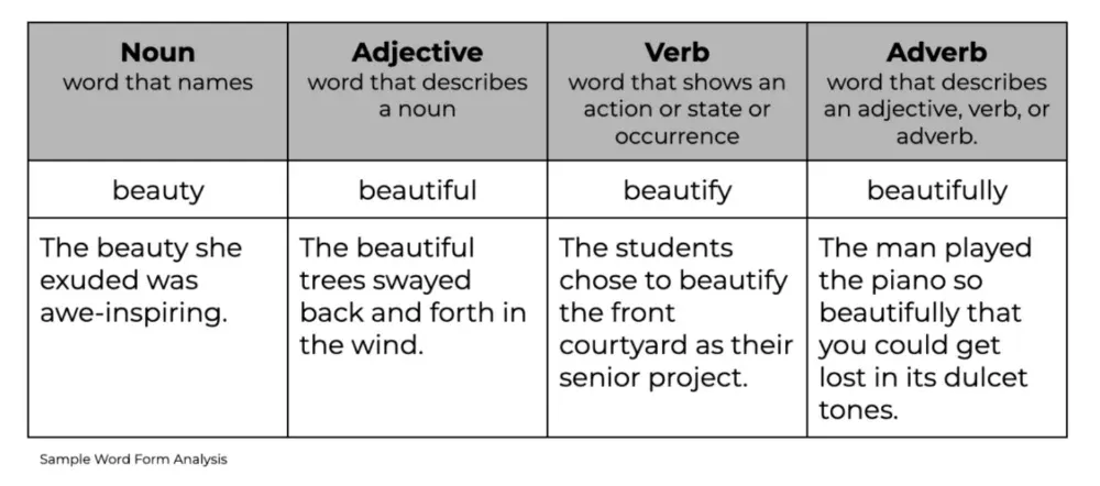Sample word form analysis for forms of the word beauty.