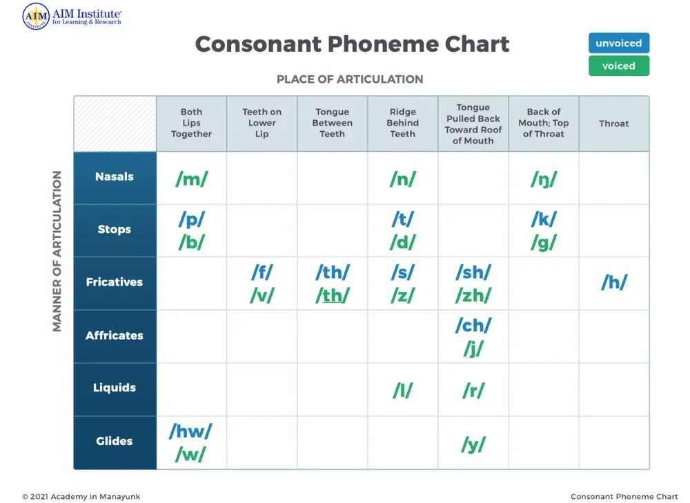 Consonant Phoneme Chart showing places and manners of articulation for various consonant sounds.