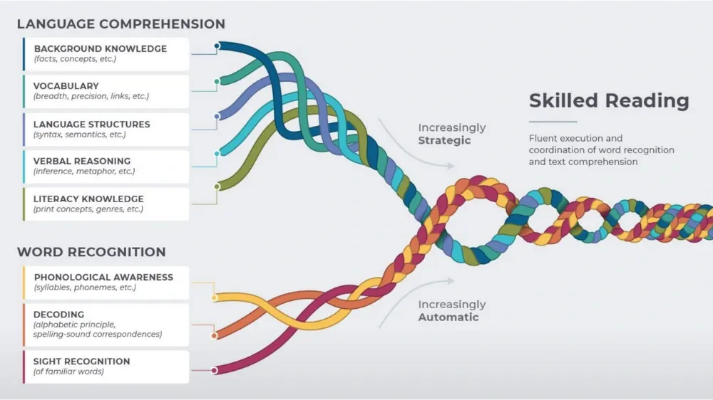 Diagram illustrating the convergence of language comprehension and word recognition skills into skilled reading.